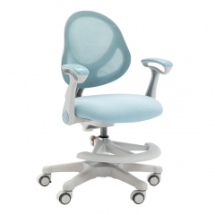 Ergonomic Kids Height Adjustable Study Desk