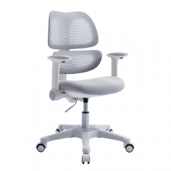 Kids Ergonomic Height Learning Study Chair
