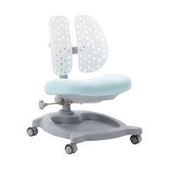 Kids Ergonomic Study Chair