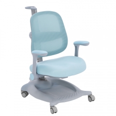 Kids Ergonomic Study Chair
